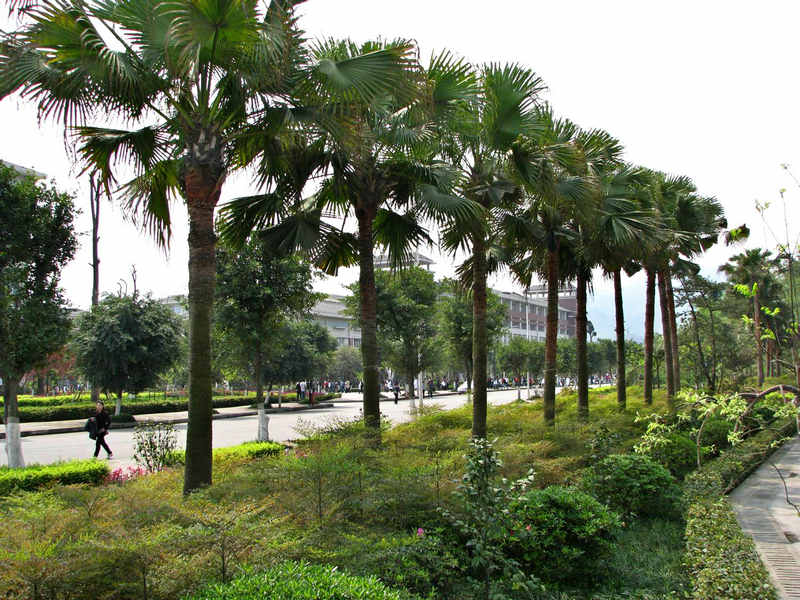 ����·����