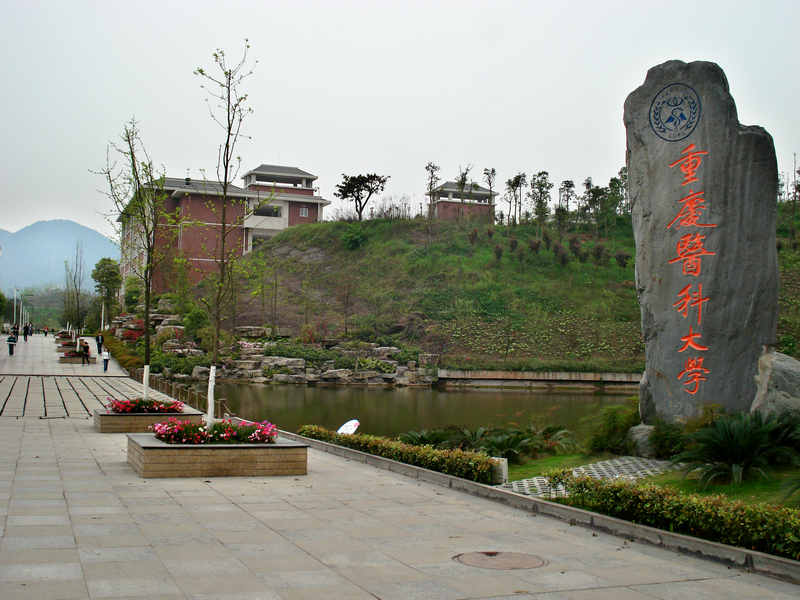 ����У�������