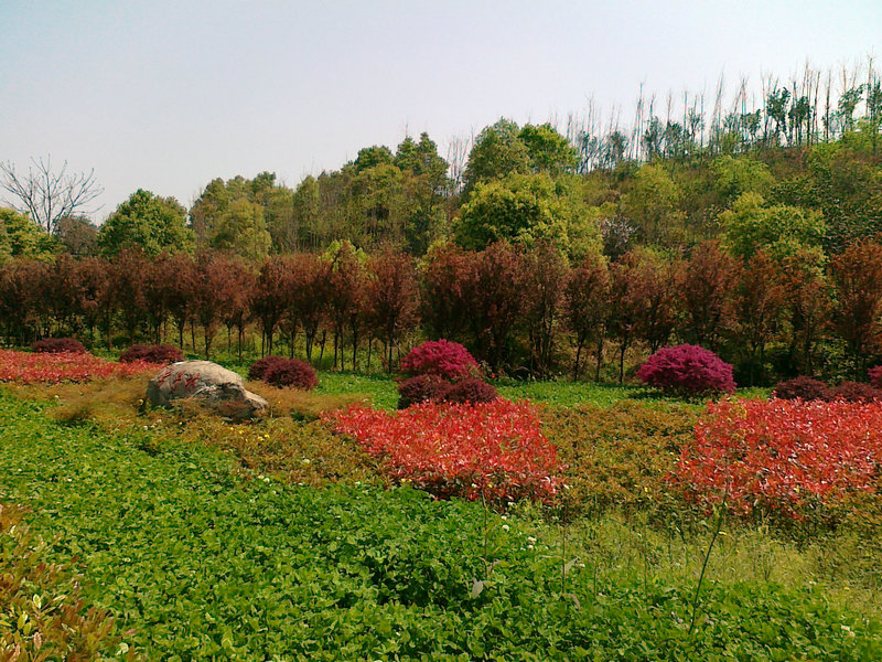 ѧ����֮��