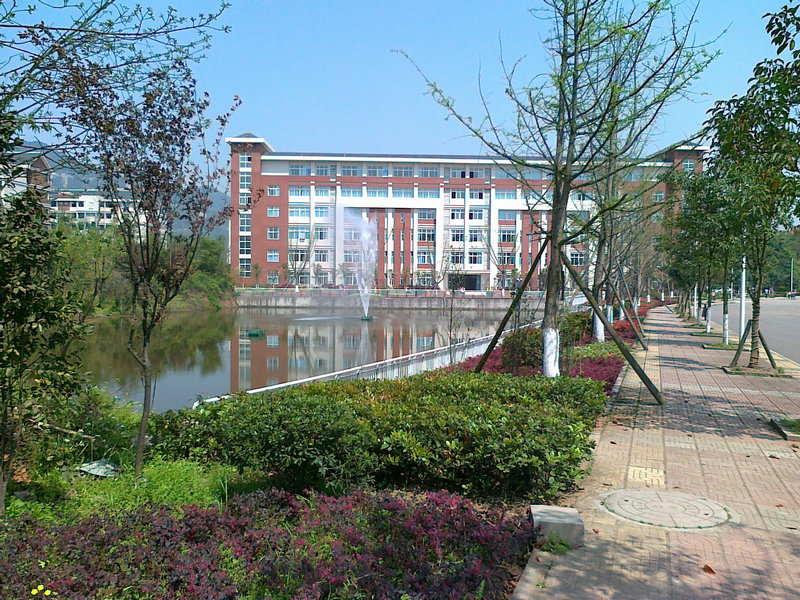 ѧ����������