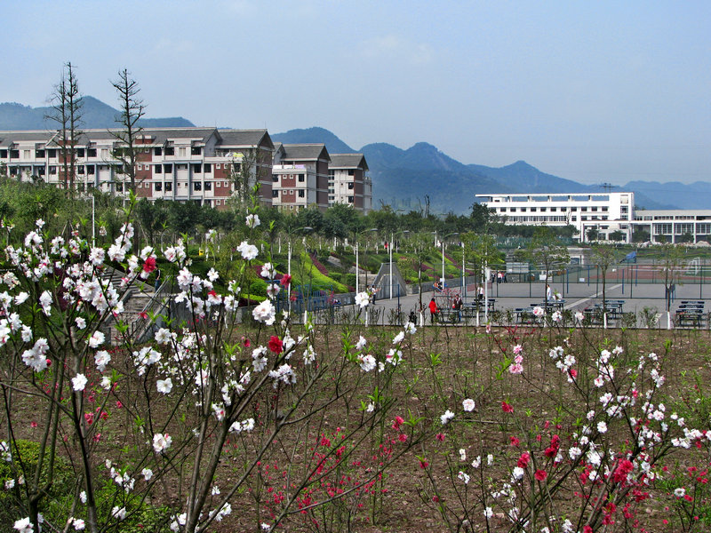 �һ�����