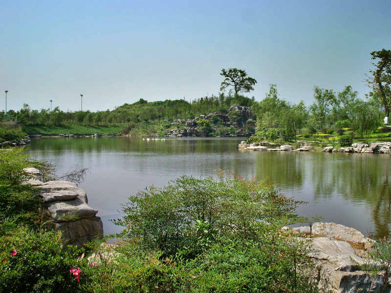 ��ĸ�����